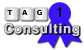 Tag1 Consulting